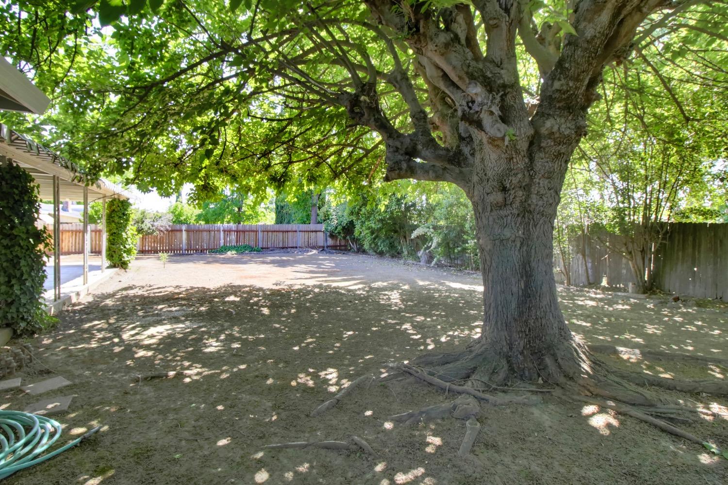 Dunnigan Realtors, Carmichael, 4033 Garfield Ave, Carmichael, California, United States 95608, 3 Bedrooms Bedrooms, ,2 BathroomsBathrooms,Single Family Home,Active Listings,Garfield Ave,1369