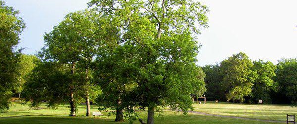 Glenn Hall Park Volunteer Day