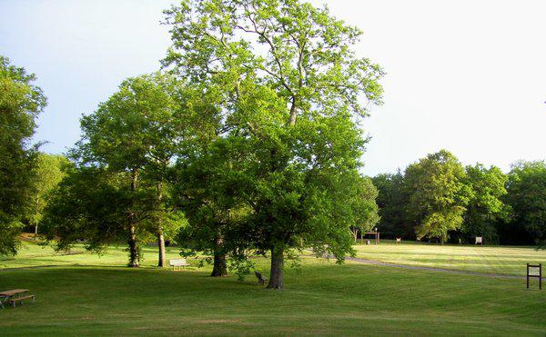 Glenn Hall Park Volunteer Day