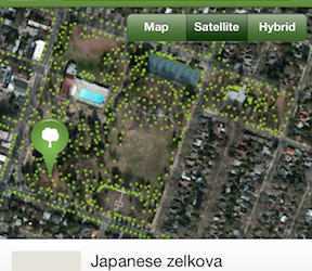 McKinley Park Tree Tours