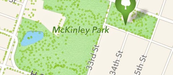 McKinley Park Tree Tour