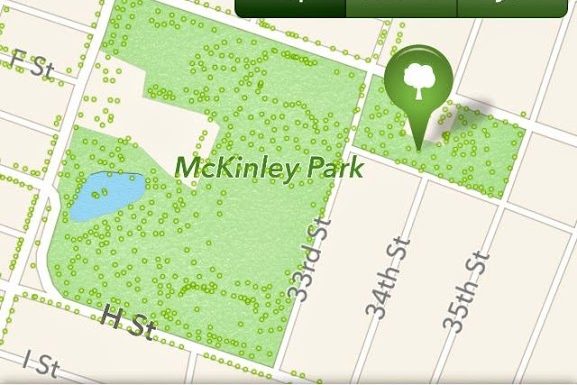 McKinley Park Tree Tour