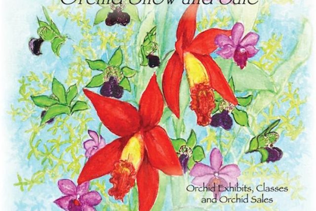 Sacramento Orchid Forum Fall Show