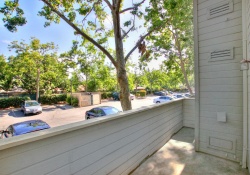 1019 Dornajo Way #127, Sacramento, California, United States 95825, 1 Bedroom Bedrooms, ,1 BathroomBathrooms,Condominium,Sold Listings,Amherst Place,Dornajo Way #127,1199