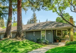 Dunnigan Realtors, 2498 American River Dr, Sacramento, Sacramento, California, United States 95825, 3 Bedrooms Bedrooms, ,2 BathroomsBathrooms, Condominium,Sold Listings, American River Dr,1251