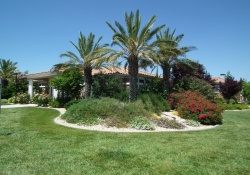 Dunnigan Realtors 2 Bedrooms, Single Family Home, Sold Listings, E COMMERCE Way #522, 2 Bathrooms, Listing ID 1023, Sacramento, California, United States, 95834,