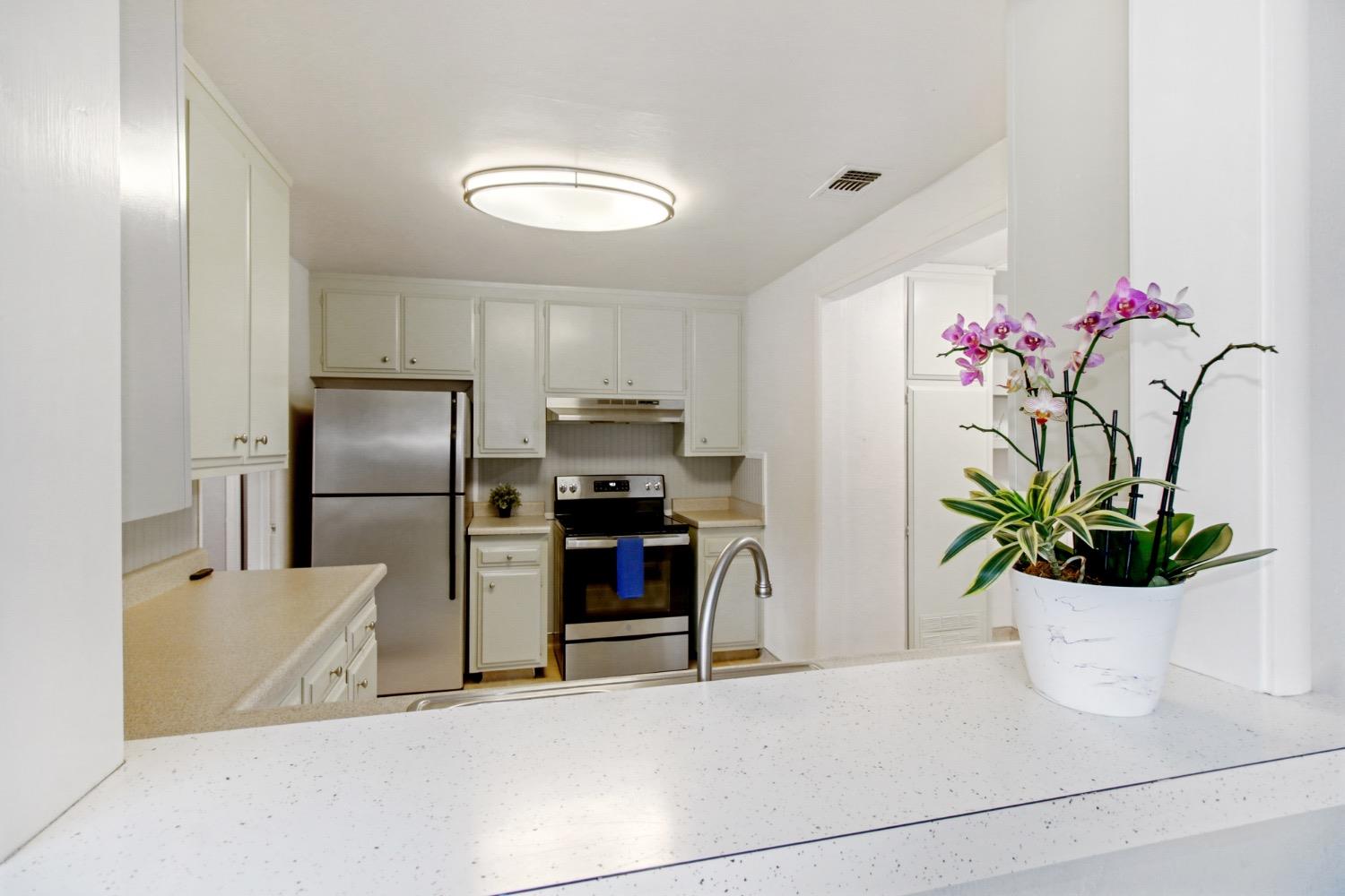 Dunnigan Realtors, East Sac, 1416 Rodeo Way, Sacramento, California, United States 95819, 3 Bedrooms Bedrooms, ,2 BathroomsBathrooms,Single Family Home,Active Listings,Rodeo Way,1366