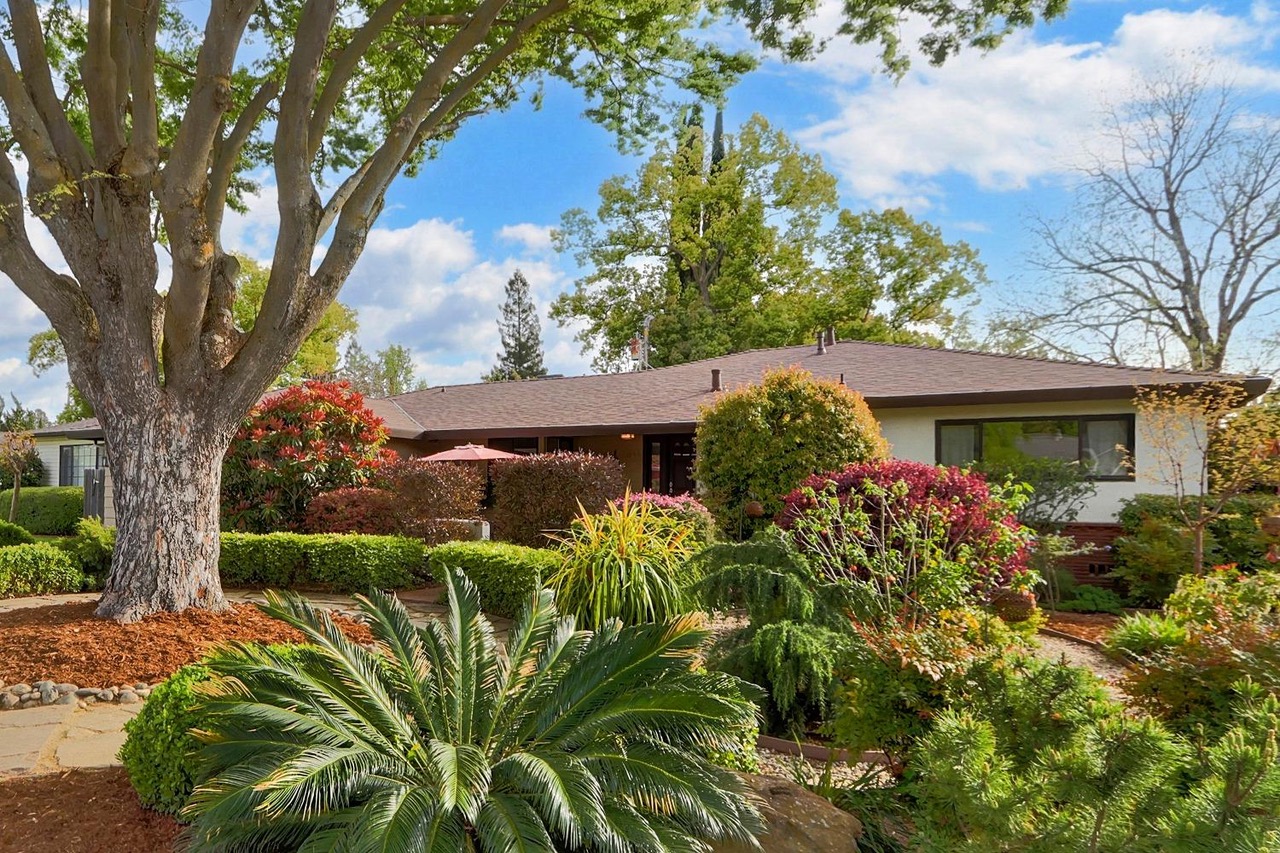 Dunnigan Realtors, Land Park,  1144 Derick Way, Sacramento, California, United States 95822, 3 Bedrooms Bedrooms, ,2 BathroomsBathrooms,Single Family Home,Sold Listings,Derick Way,1377