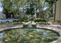 Dunnigan Realtors 1 Bedrooms, Condominium, Sold Listings, 11th Street, 1 Bathrooms, Listing ID 1055, Sacramento, Sacramento, California, United States, 95814,
