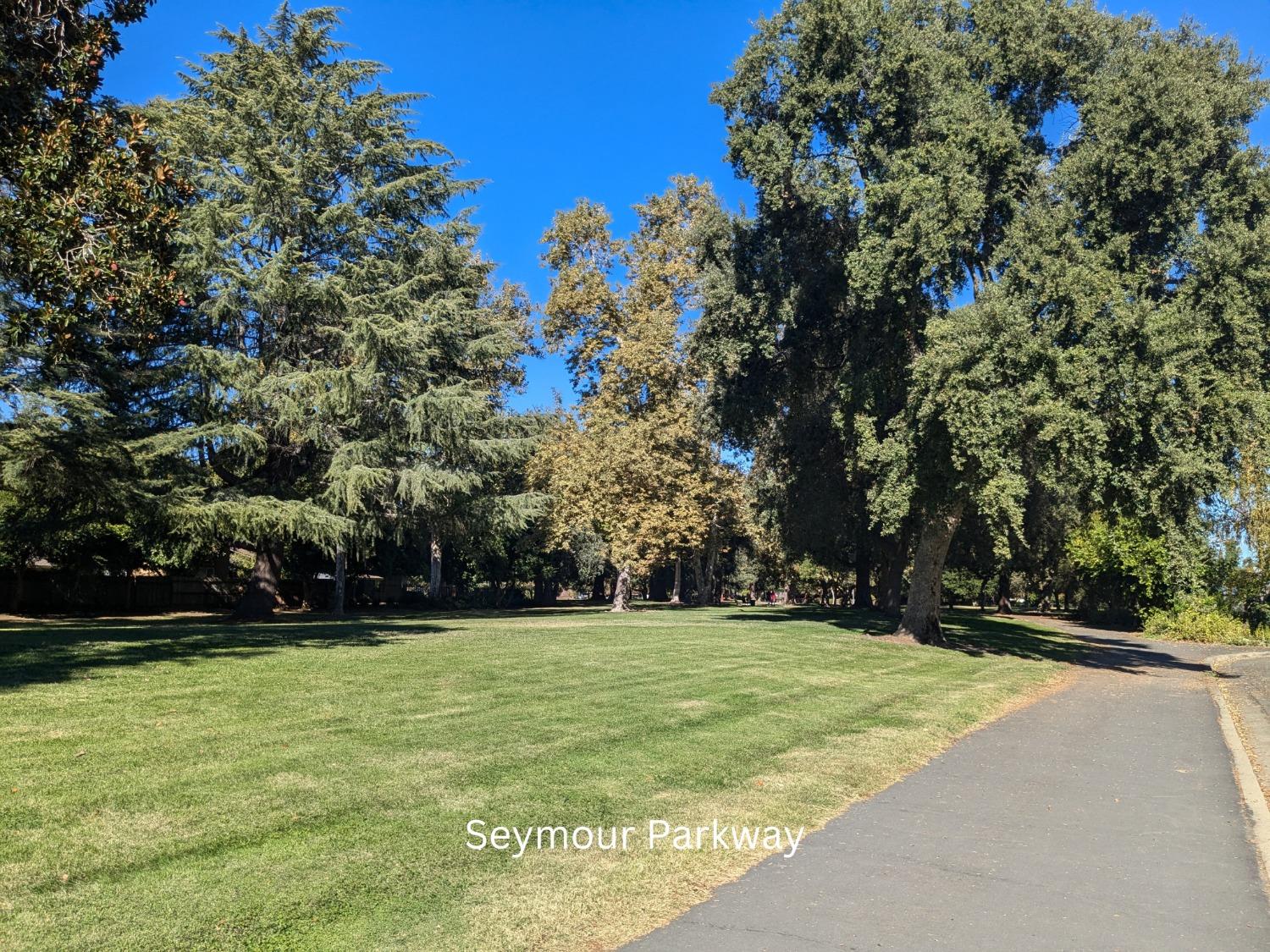 Sold, Land, Sacto So Land Park/Greenhaven, 100 Southlite Cir, Sacramento, CA 95831, Beth Christensen, Dunnigan Realtors, Top Agent