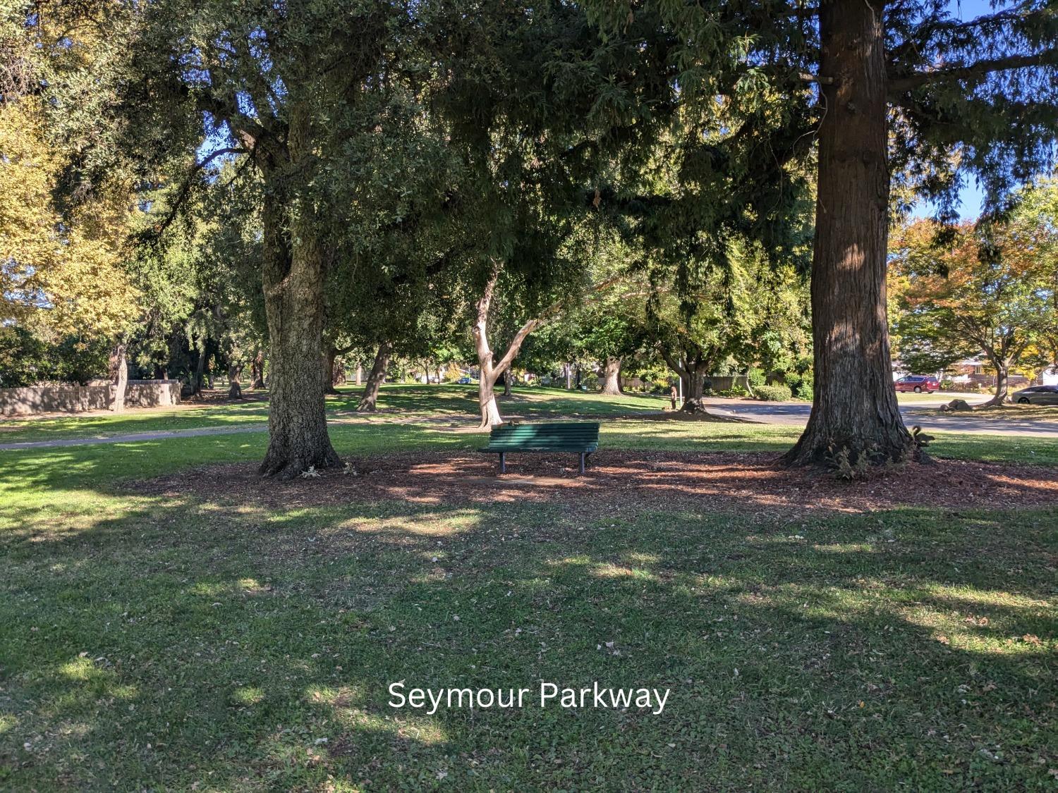 Sold, Land, Sacto So Land Park/Greenhaven, 104 Southlite Cir, Sacramento, CA 95831, Beth Christensen, Dunnigan Realtors, Top Agent