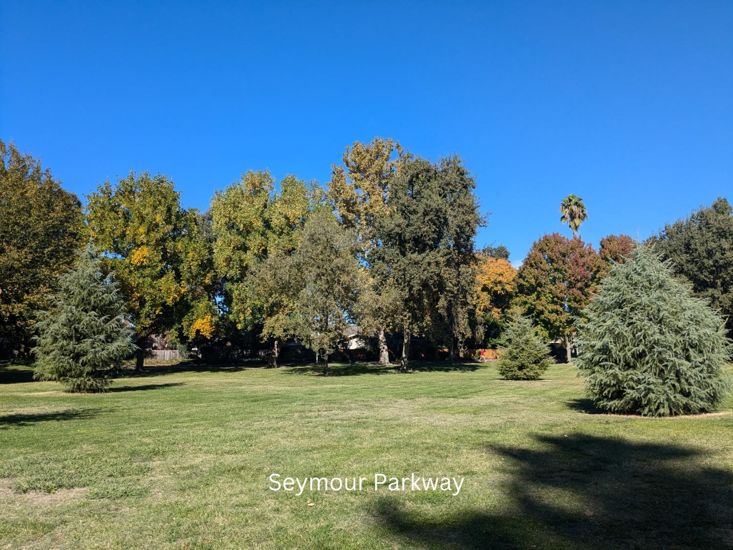 Sold, Land, Sacto So Land Park/Greenhaven, 104 Southlite Cir, Sacramento, CA 95831, Beth Christensen, Dunnigan Realtors, Top Agent