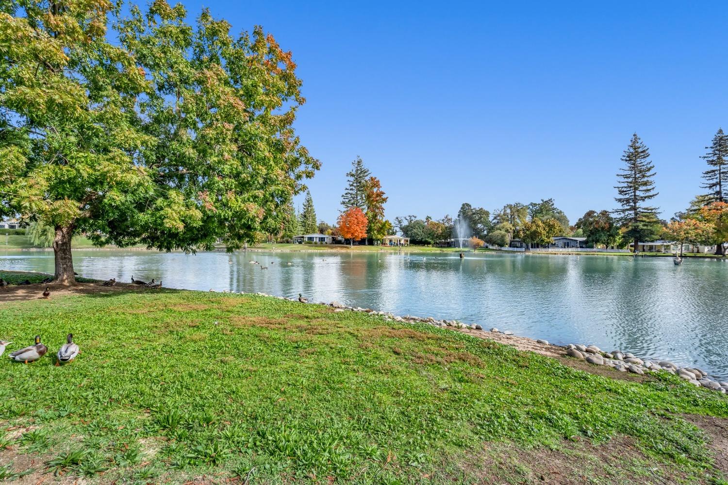 Sold, 2 Bedrooms, 2 Bathrooms, Mobile Home, Lakeview Village, Citrus Heights, 6125 Mame Ct, Citrus Heights, CA 95621-3562, Beth Christensen, Dunnigan Realtors, Top Agent