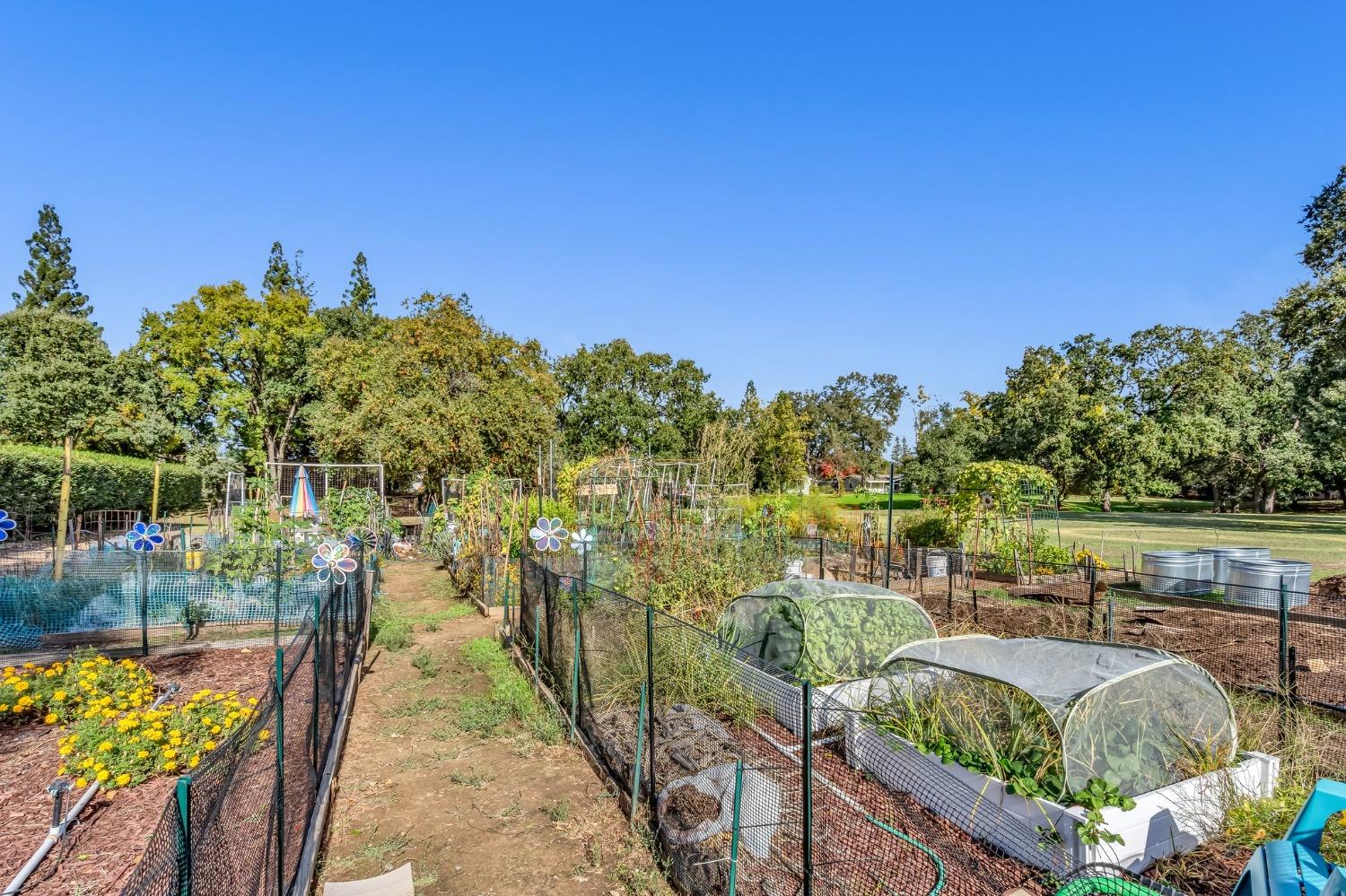 Sold, 2 Bedrooms, 2 Bathrooms, Mobile Home, Lakeview Village, Citrus Heights, 6125 Mame Ct, Citrus Heights, CA 95621-3562, Beth Christensen, Dunnigan Realtors, Top Agent