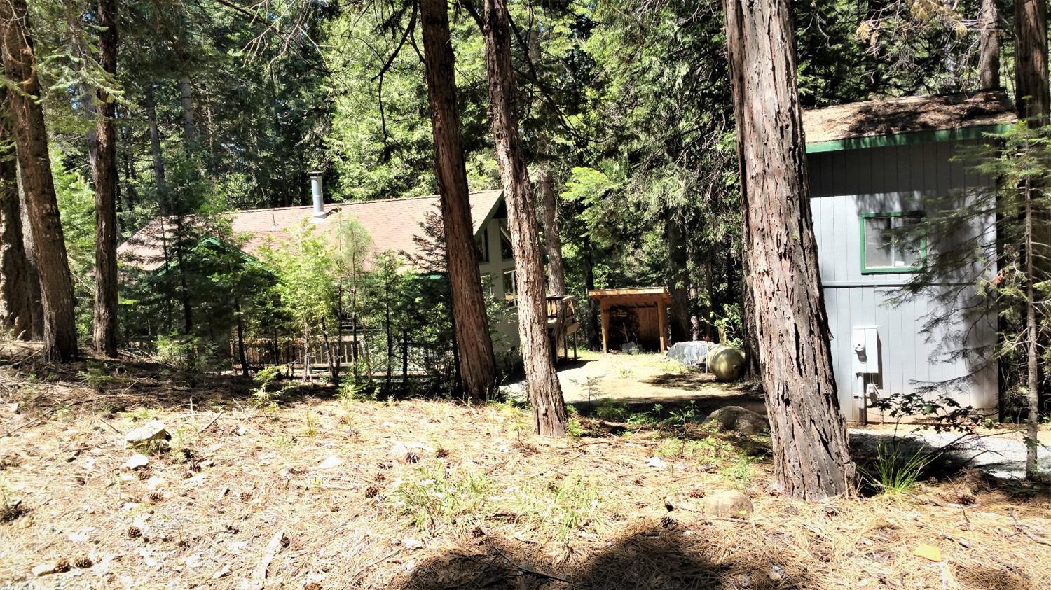 Sold, 2 Bedrooms, 1 Bathrooms, Single Family Home, Dutch Flat/Alta/Blue Canyon/Norden, 580 Sugar Pine Rd, Alta, CA 95701, Beth Christensen, Dunnigan Realtors, Top Agent