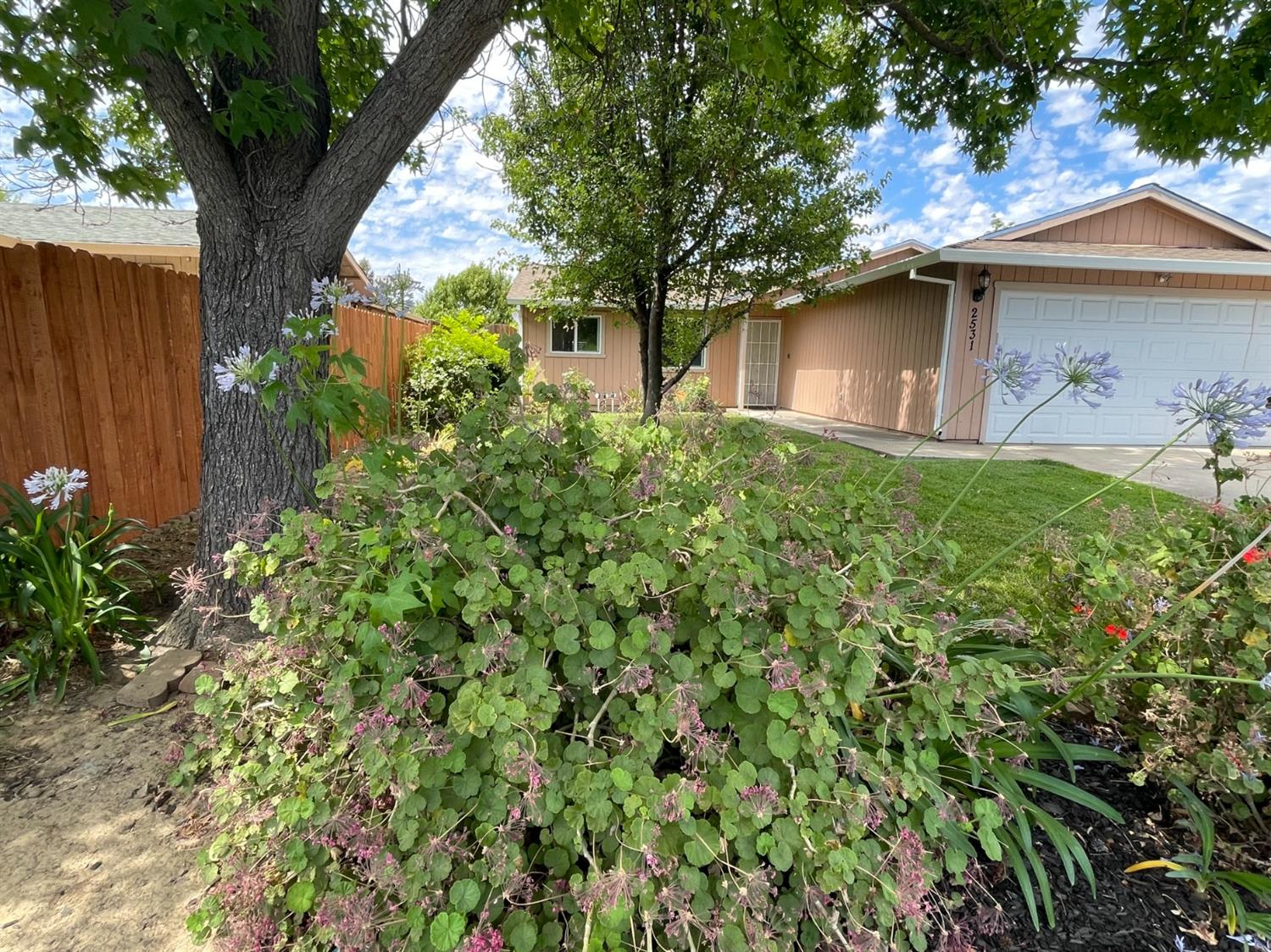 Sold, 3 Bedrooms, 2 Bathrooms, Single Family Home, Sacramento Elder Creek/Fruitridge, 2531 21st Ave, Sacramento, CA 95820-3739, Beth Christensen, Dunnigan Realtors, Top Agent