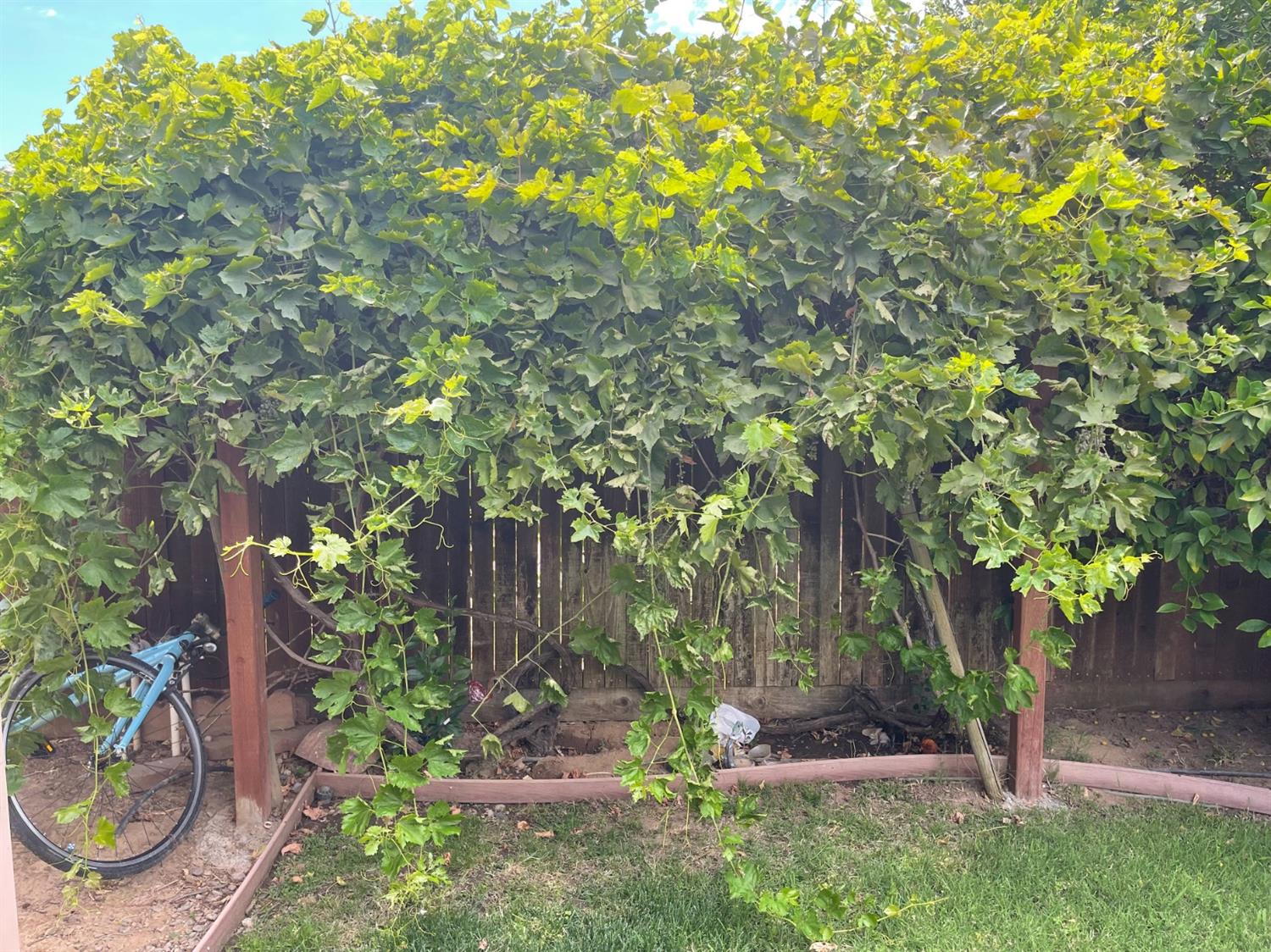 Sold, 3 Bedrooms, 2 Bathrooms, Single Family Home, Sacramento Elder Creek/Fruitridge, 2531 21st Ave, Sacramento, CA 95820-3739, Beth Christensen, Dunnigan Realtors, Top Agent