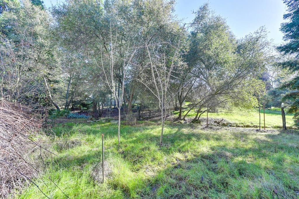 Sold, 3 Bedrooms, 2 Bathrooms, Single Family Home, Rancho Murieta, 6742 Terreno Dr, Rancho Murieta, CA 95683-9401, Beth Christensen, Dunnigan Realtors, Top Agent