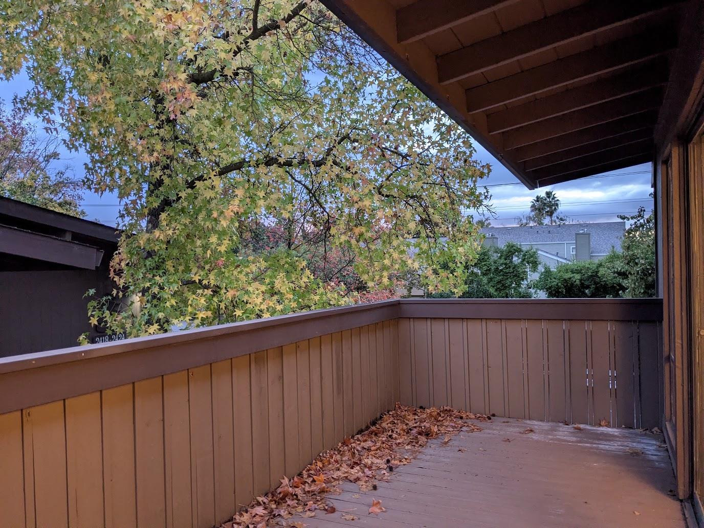 Active, 2 Bedrooms, 1 Bathrooms, Condominium, Sacto Arden/Arcade Creek/Vicinity, 2416 Larkspur Ln #232, Sacramento, CA 95825-4120, Beth Christensen, Dunnigan Realtors, Top Agent