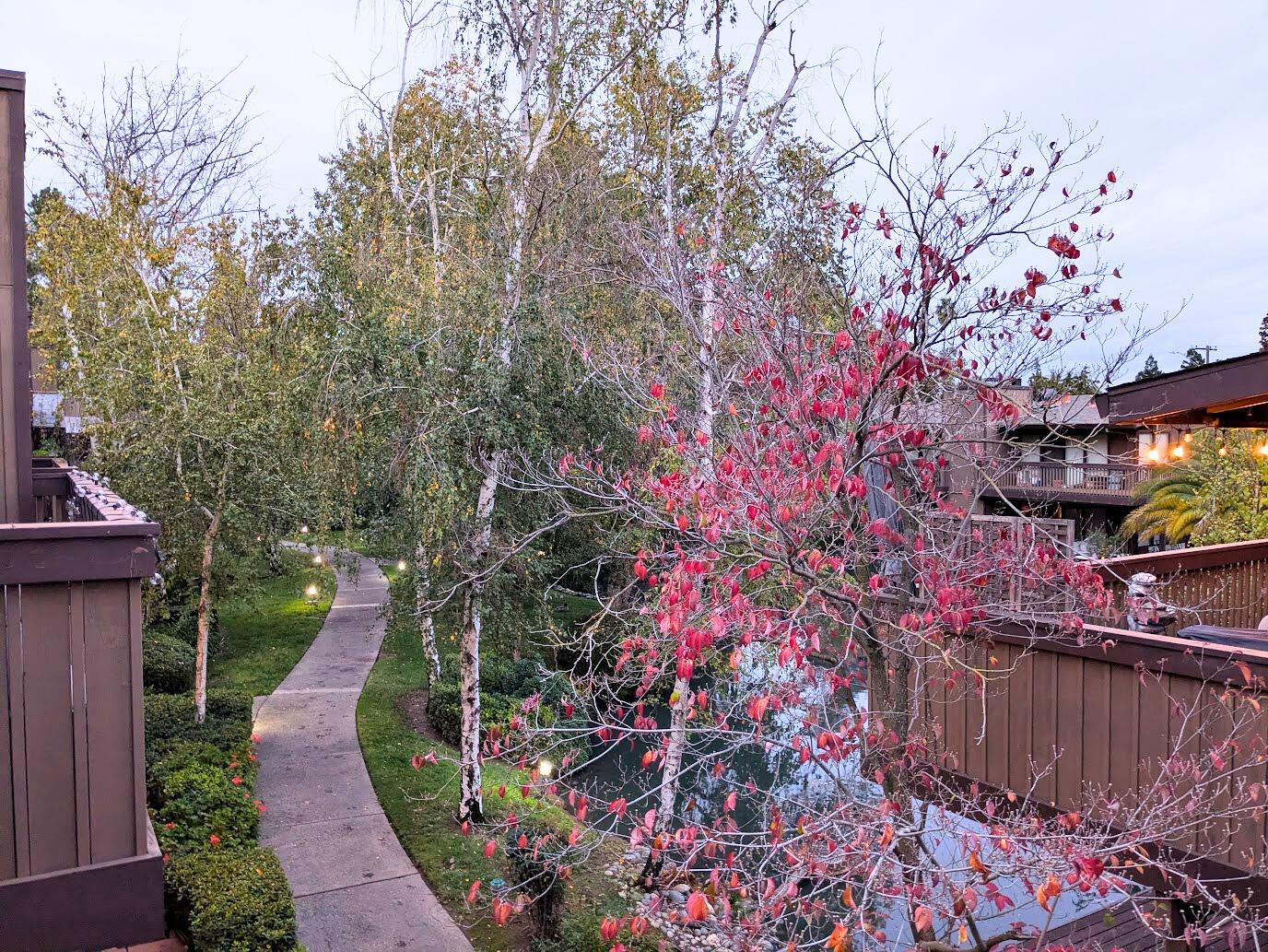 Active, 2 Bedrooms, 1 Bathrooms, Condominium, Sacto Arden/Arcade Creek/Vicinity, 2416 Larkspur Ln #232, Sacramento, CA 95825-4120, Beth Christensen, Dunnigan Realtors, Top Agent