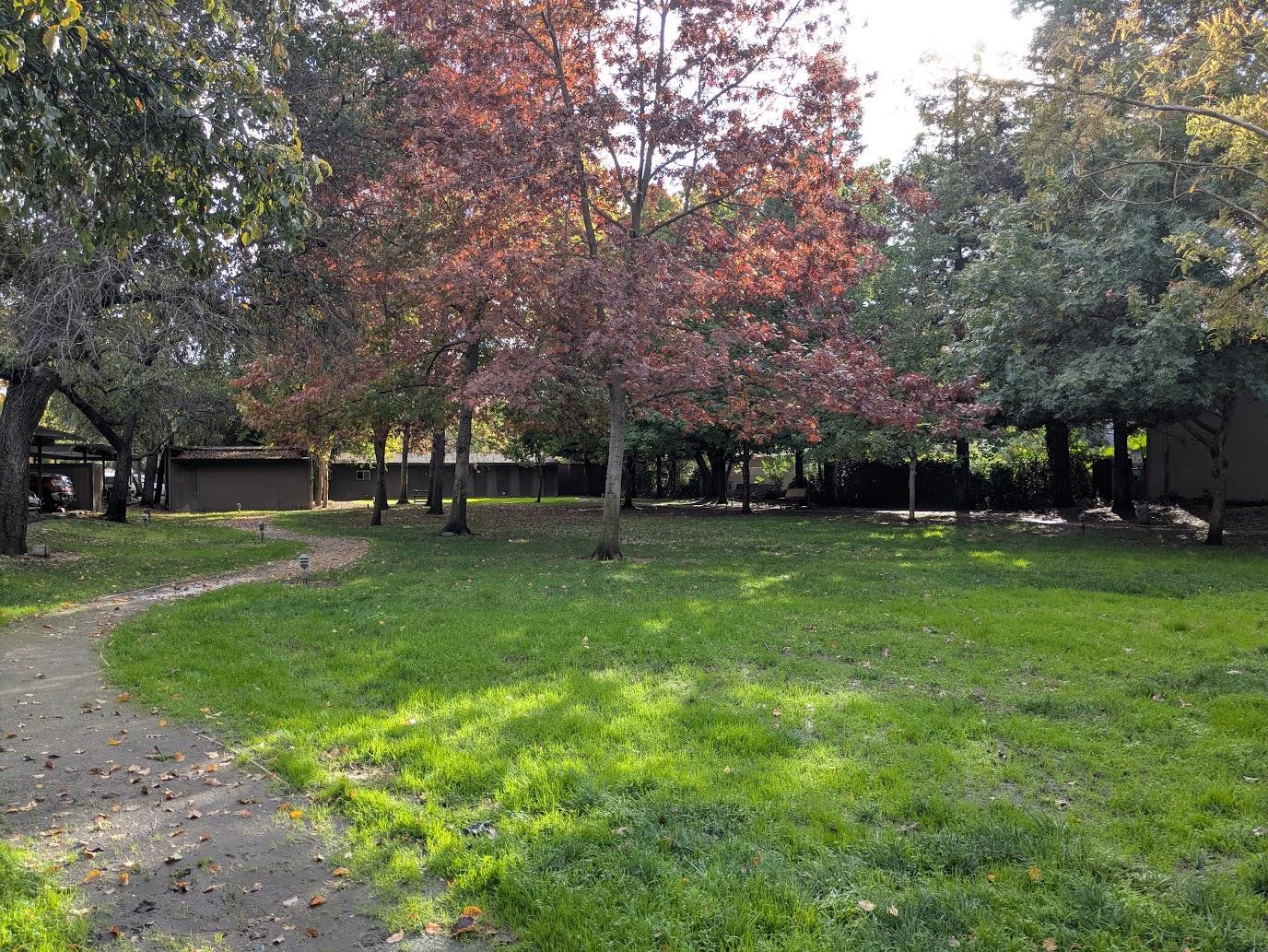 Active, 2 Bedrooms, 1 Bathrooms, Condominium, Sacto Arden/Arcade Creek/Vicinity, 2416 Larkspur Ln #232, Sacramento, CA 95825-4120, Beth Christensen, Dunnigan Realtors, Top Agent